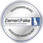 teilnahme-am-hundetrainer